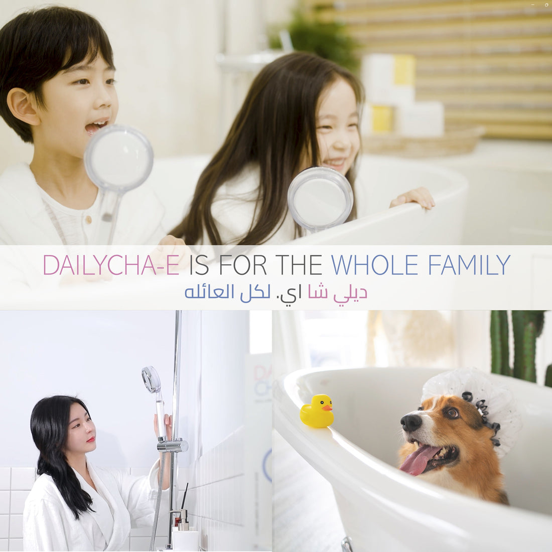 Set A – DailyCha-E Shower Head + Sediment Filter + ACF Filter