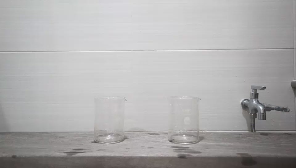 Be-Vita Korean Vitamin Shower Filter (Lemon)